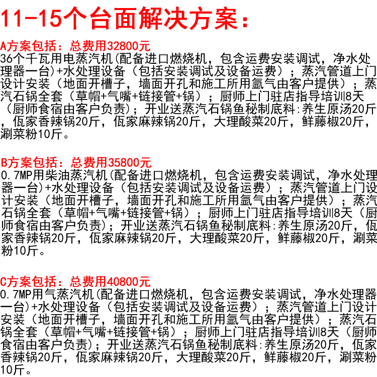 壁挂式蒸汽发生器 24kW